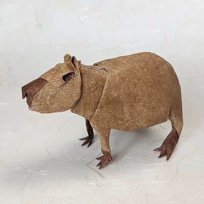 Capybara - Yoo Tae Yong